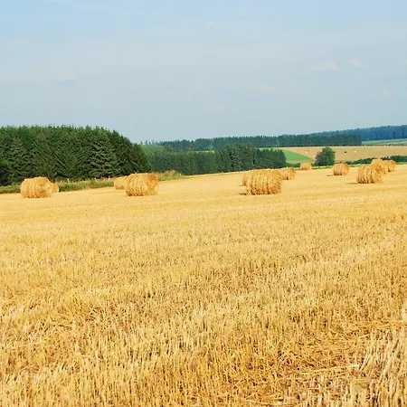 Дом отдыха Au Four